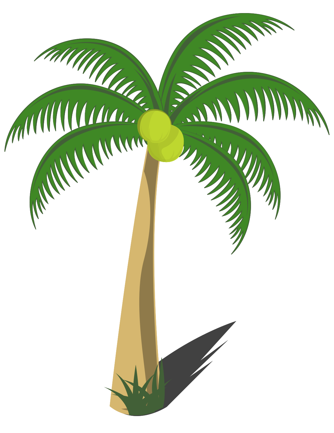 Free Coconut Tree Png With Transparent Background