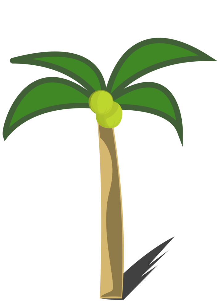 kokosnötsträd png