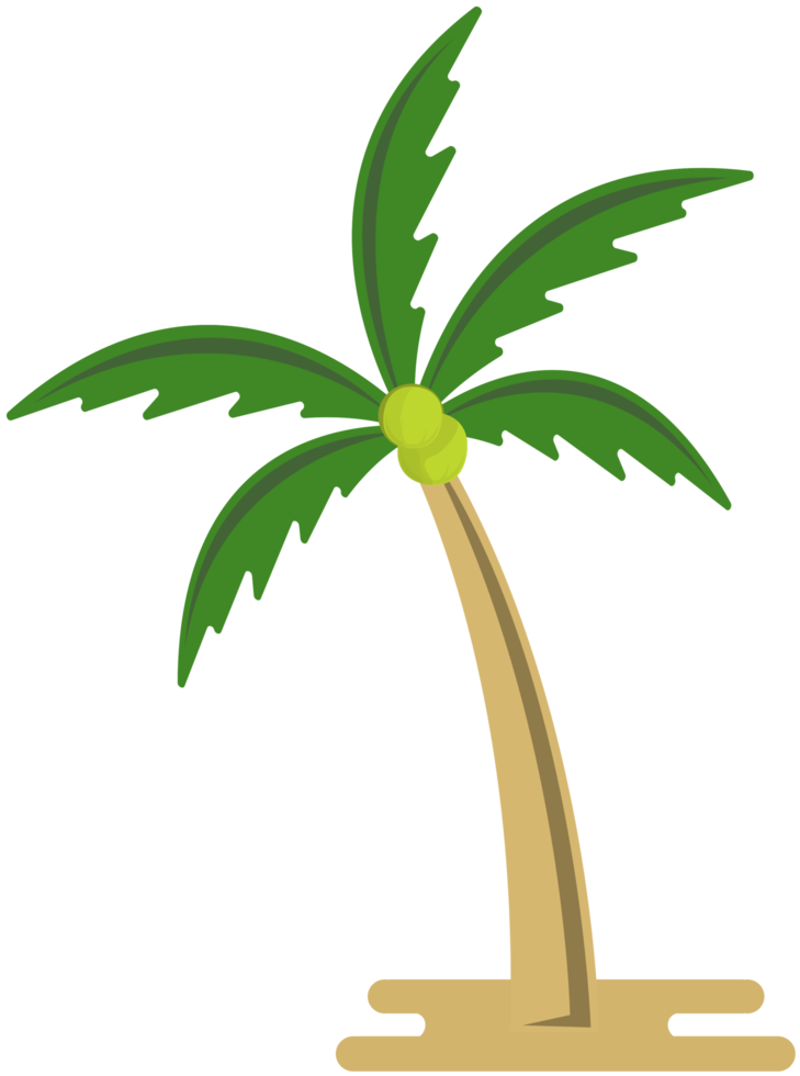 kokosnötsträd png