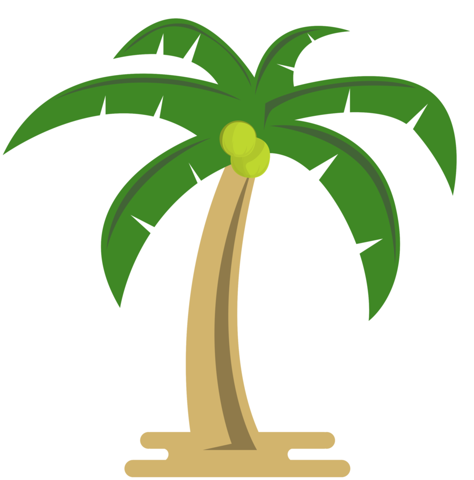 kokosnootboom png