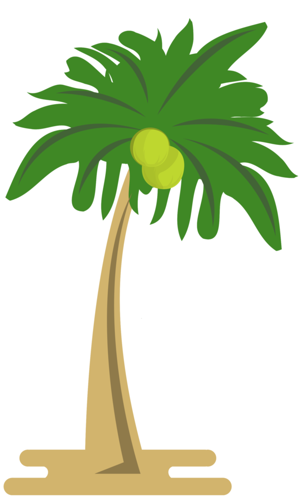 kokosnötsträd png