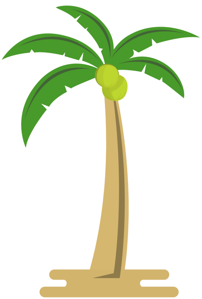 kokosnötsträd png