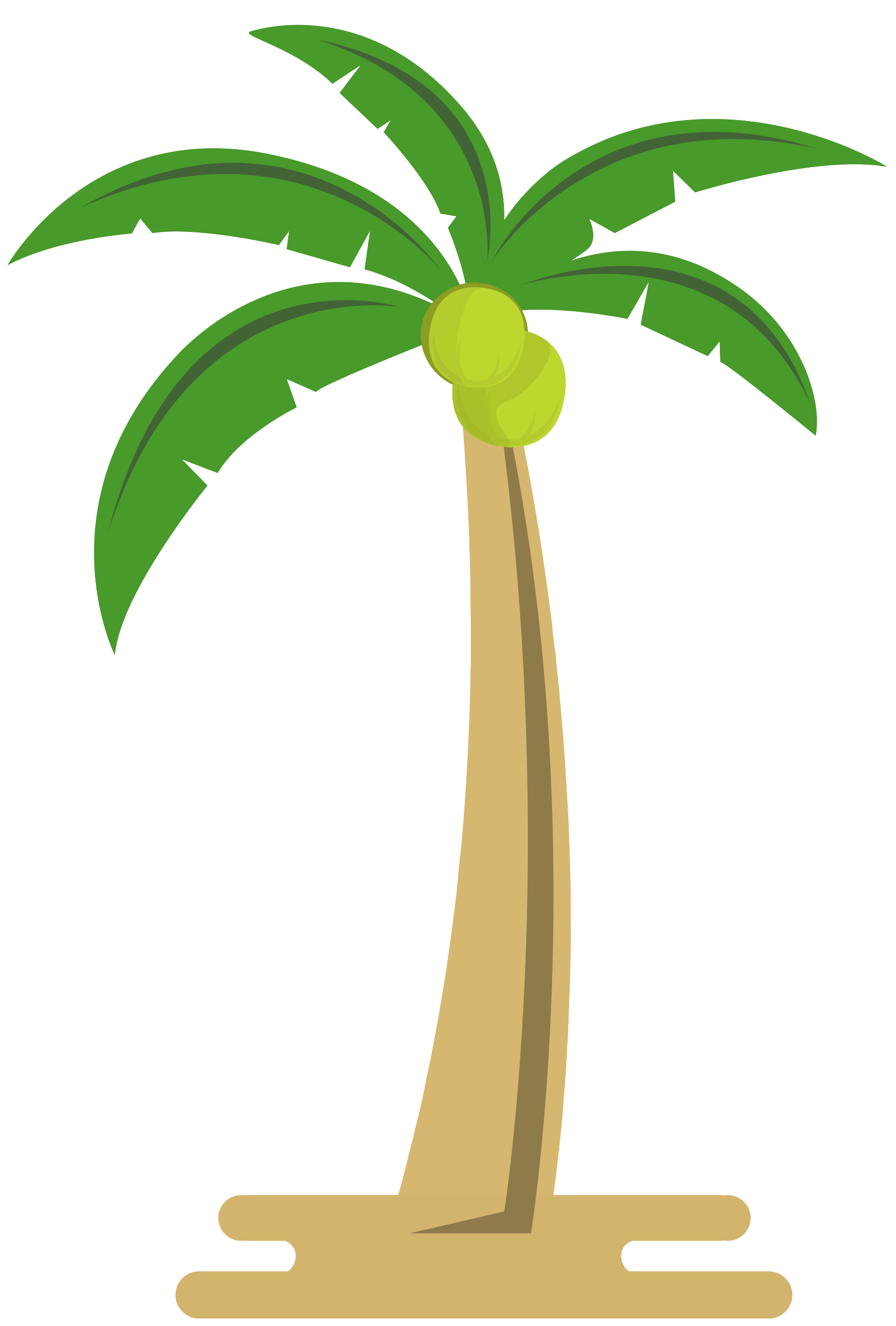 coconut tree 1189465 PNG