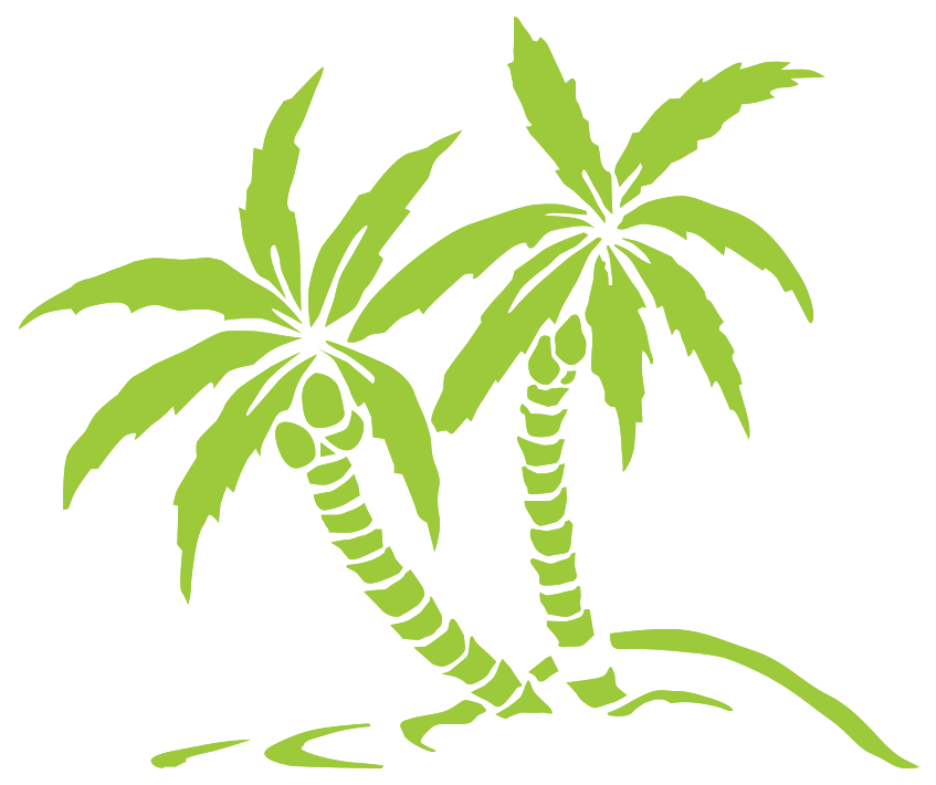 Palm Trees png