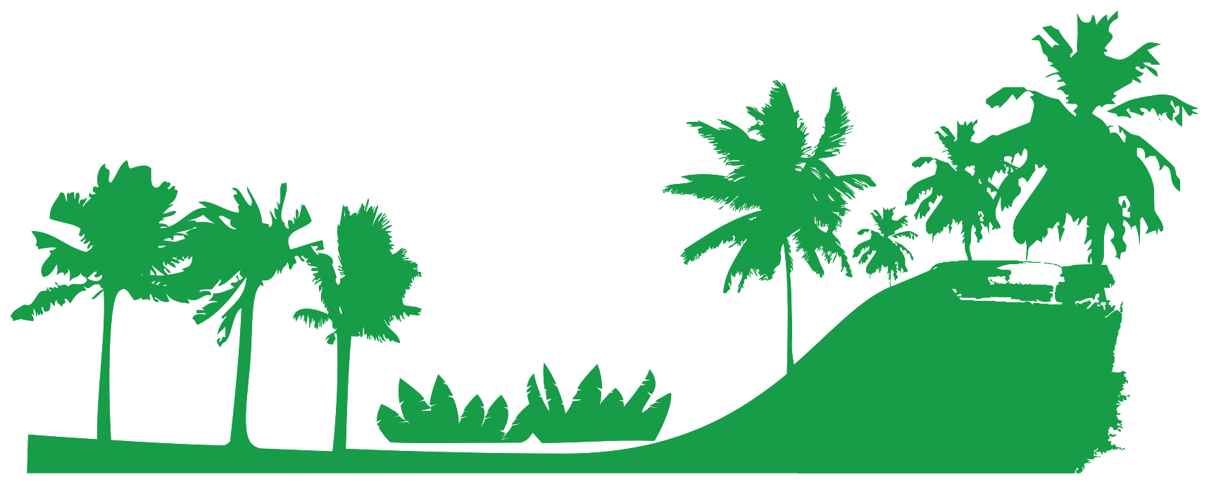 palmeras png