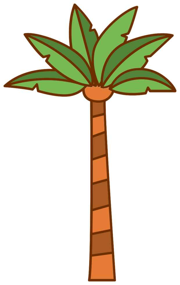 Palmeira png