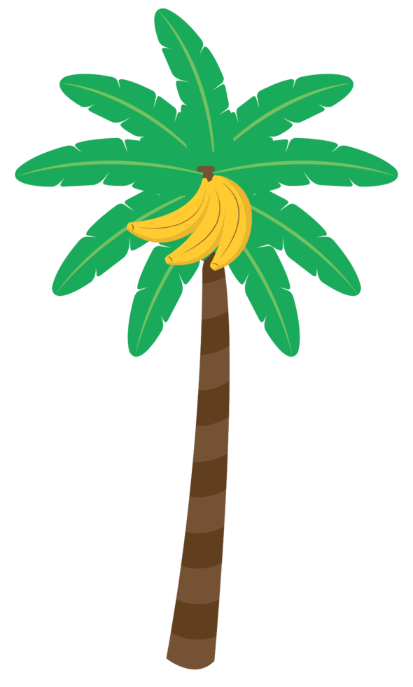 palmboom png