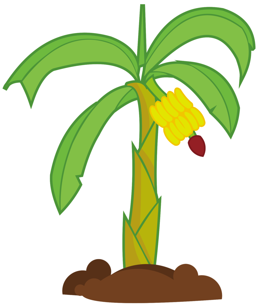 palmboom png