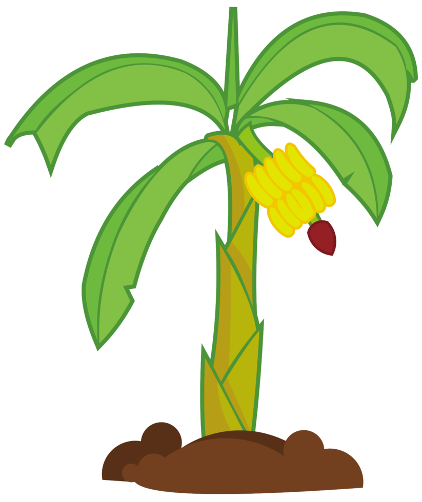 palmera png