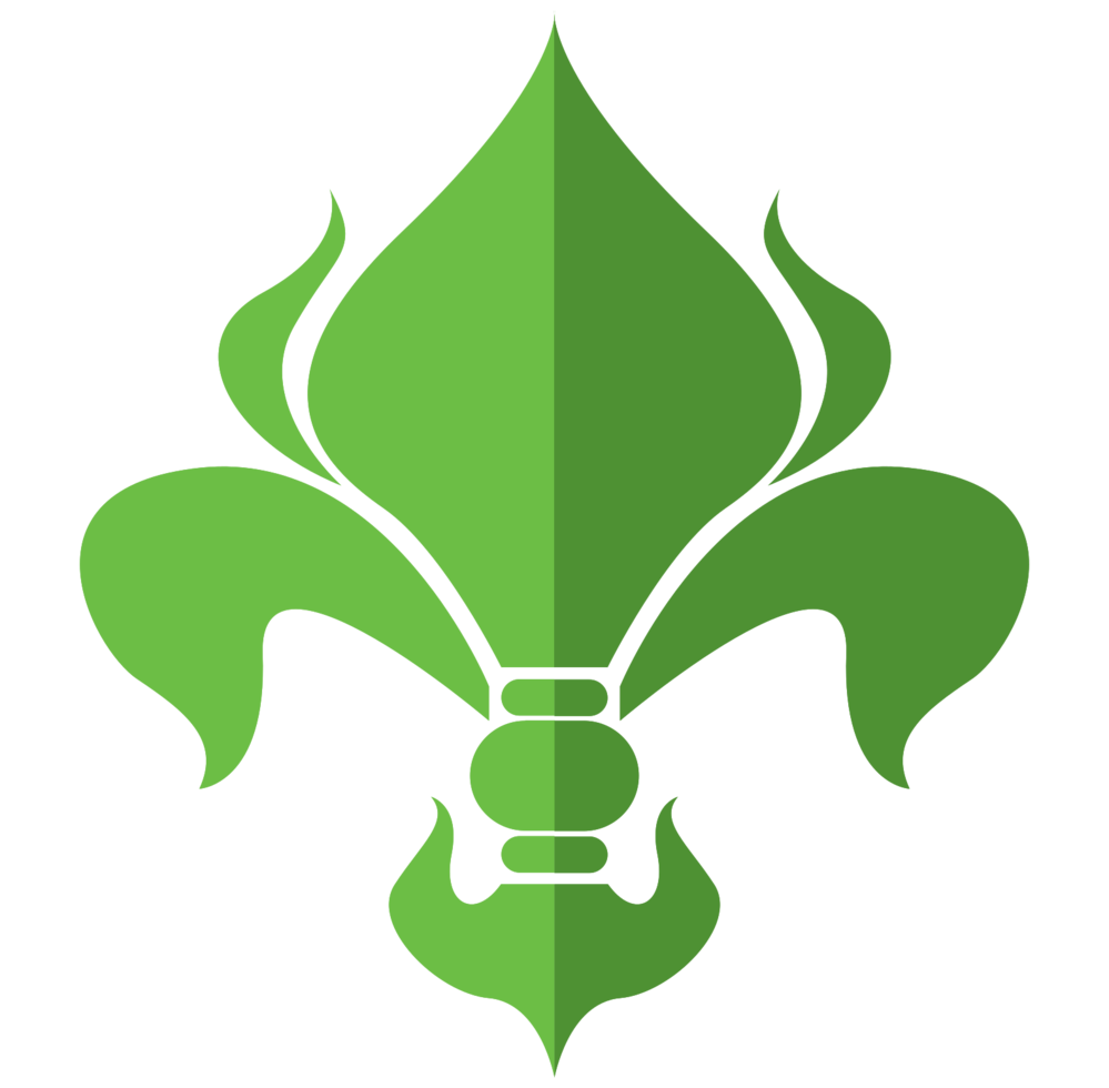 Fleur de lis png