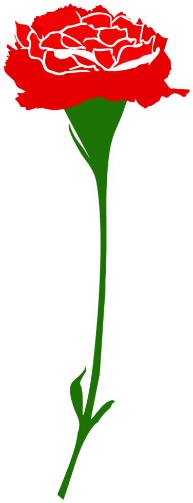 flor de clavel png