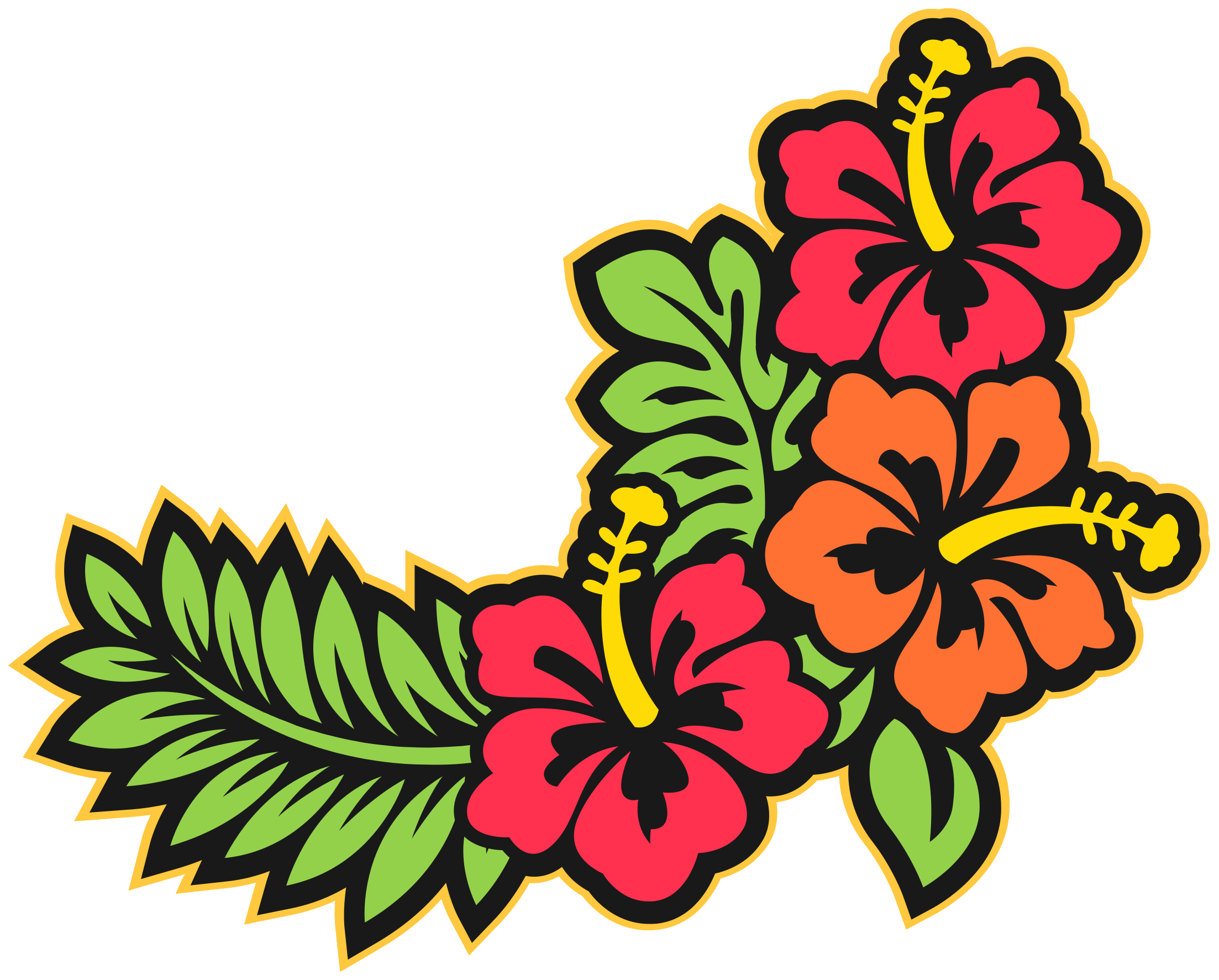 hawaii-flower-1190297-png