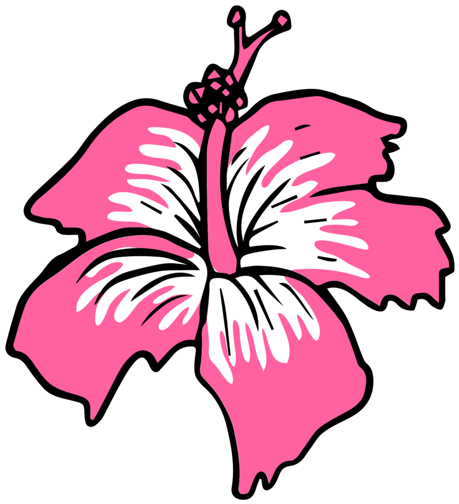 Flower polynesian png