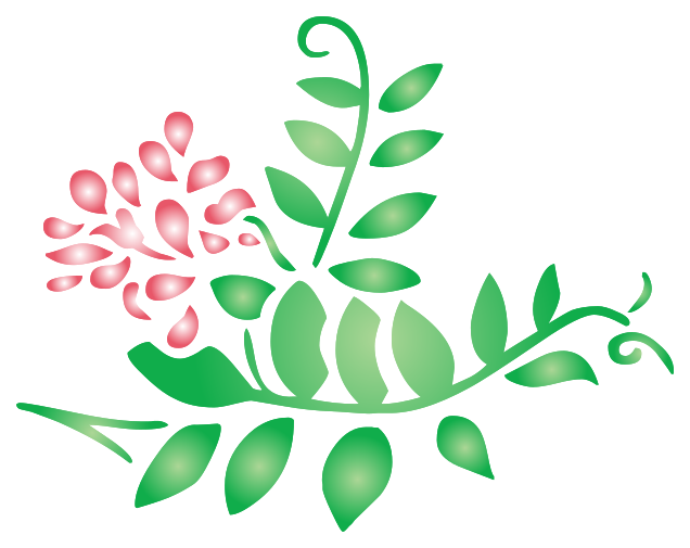 Free Flower summer PNG with Transparent Background