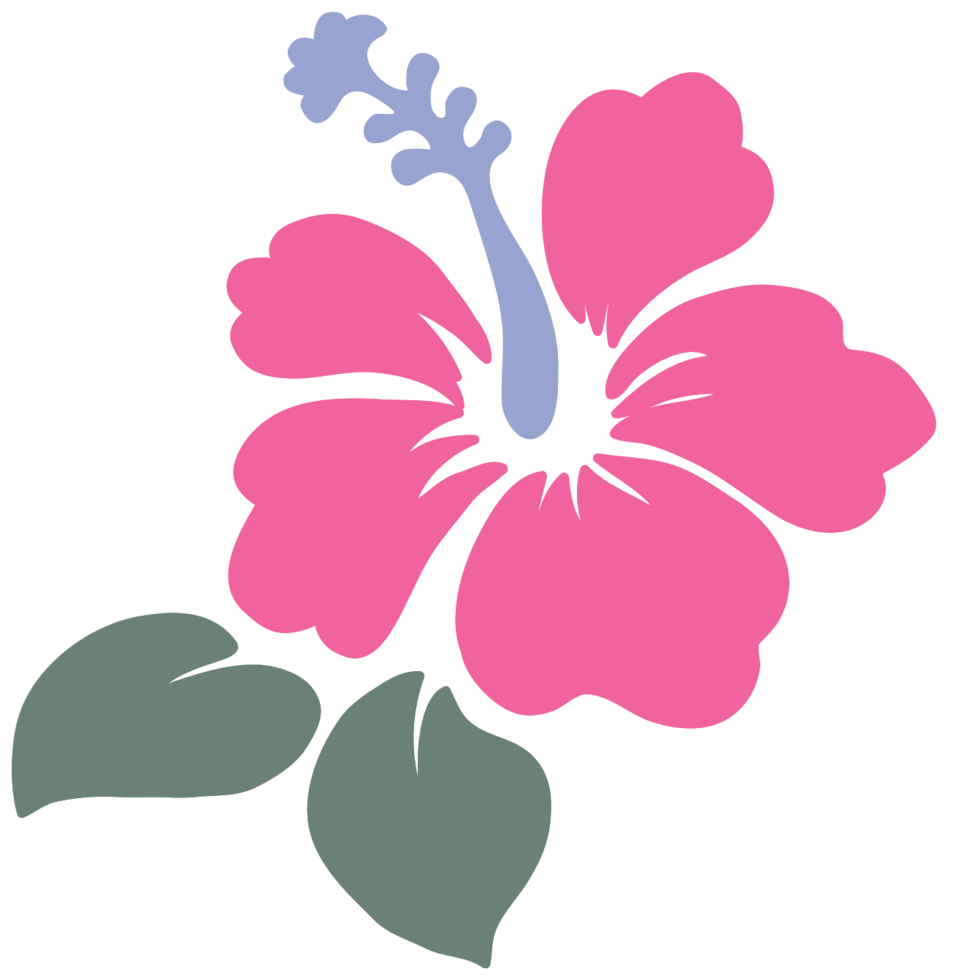 fleur d'Hawaï png