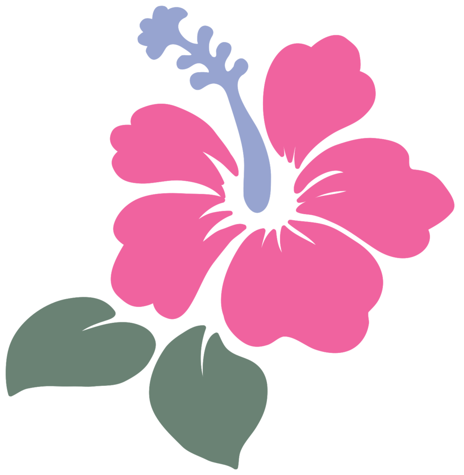 flor de havaí png