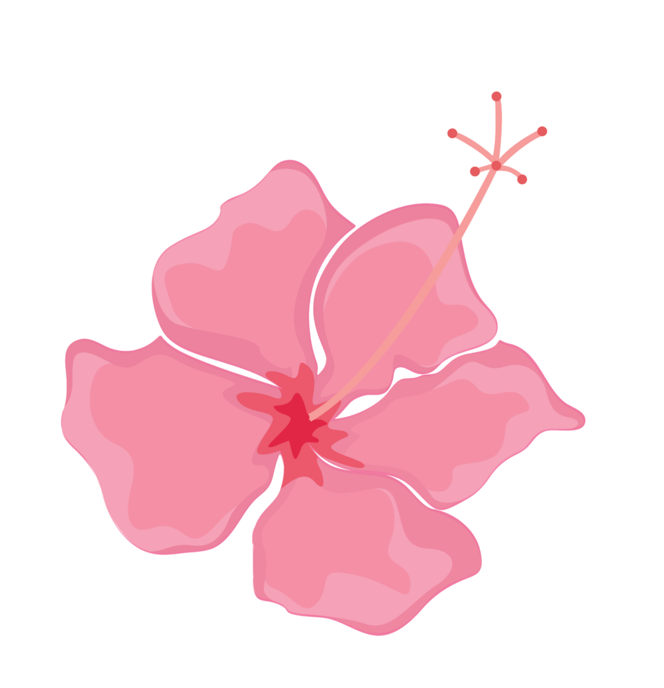 Flower polynesian png