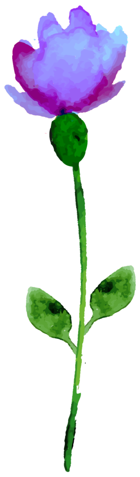 Free flor de color de agua 1190409 PNG with Transparent Background Free flor de color de agua 1190409 PNG with Transparent Background
