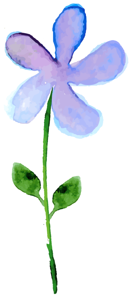 flor de água colorida png