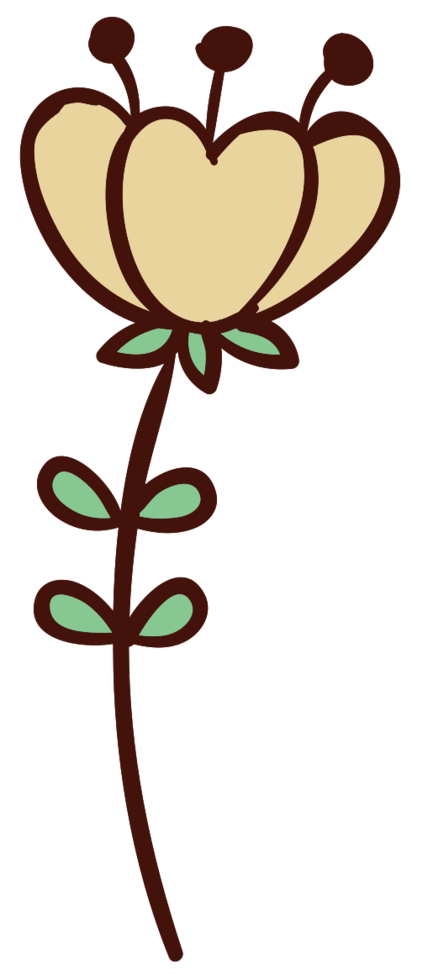 fleur png