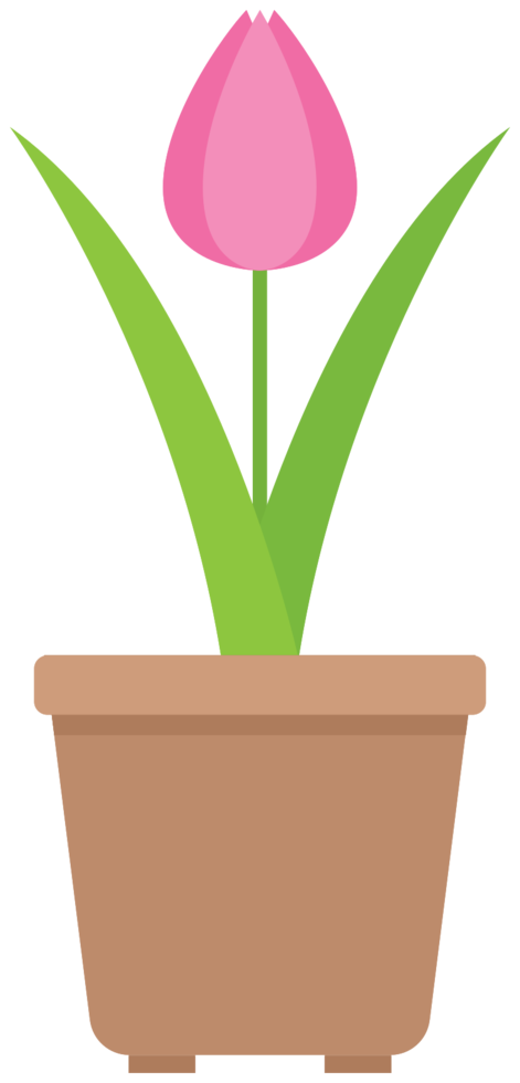 vaso di fiori png