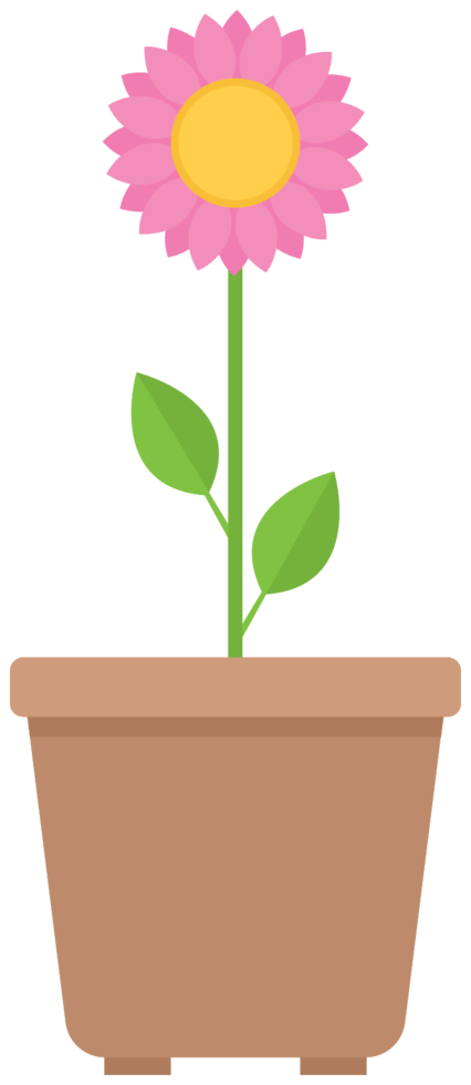 Flower pot png