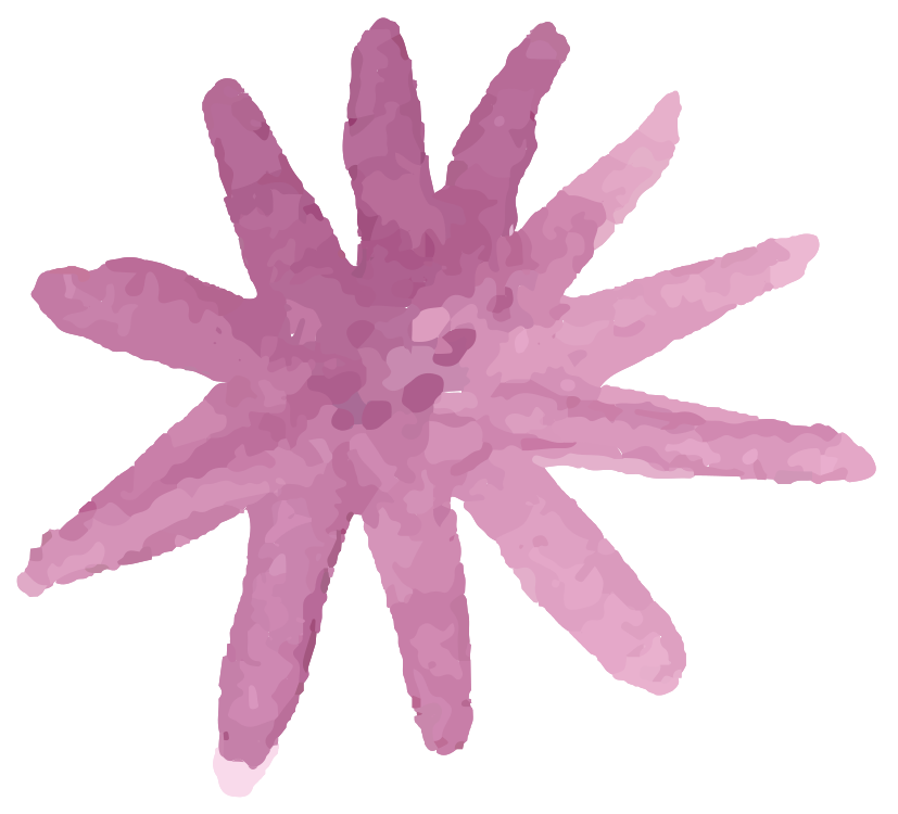 Blumenaquarell png