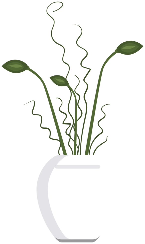 Dried flower pot png