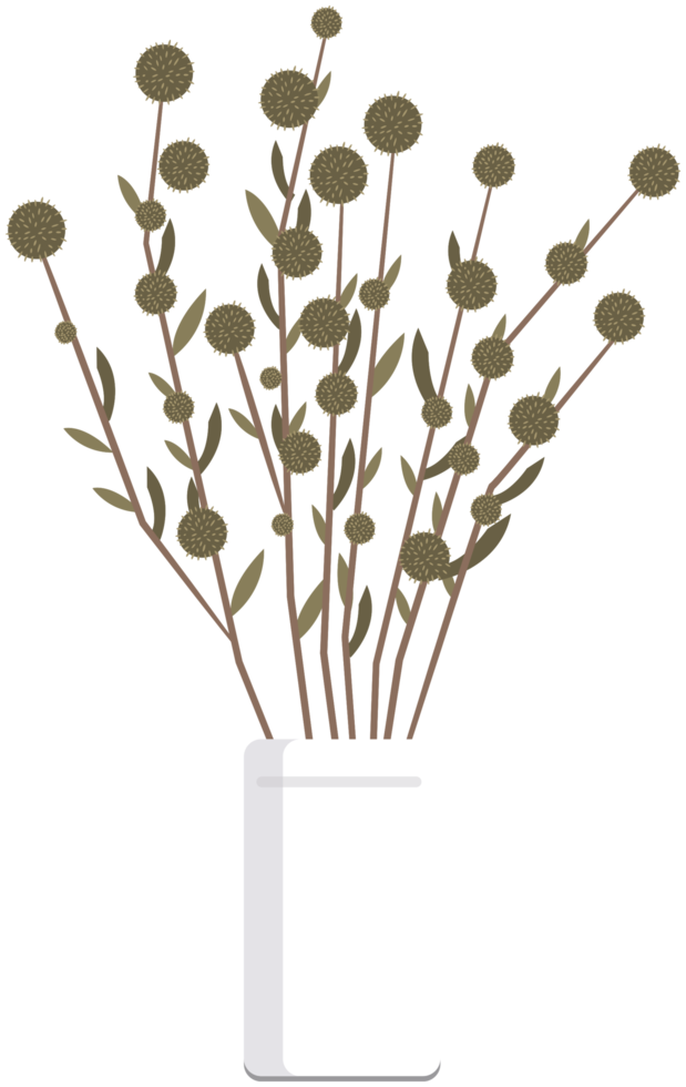 Dried flower pot png