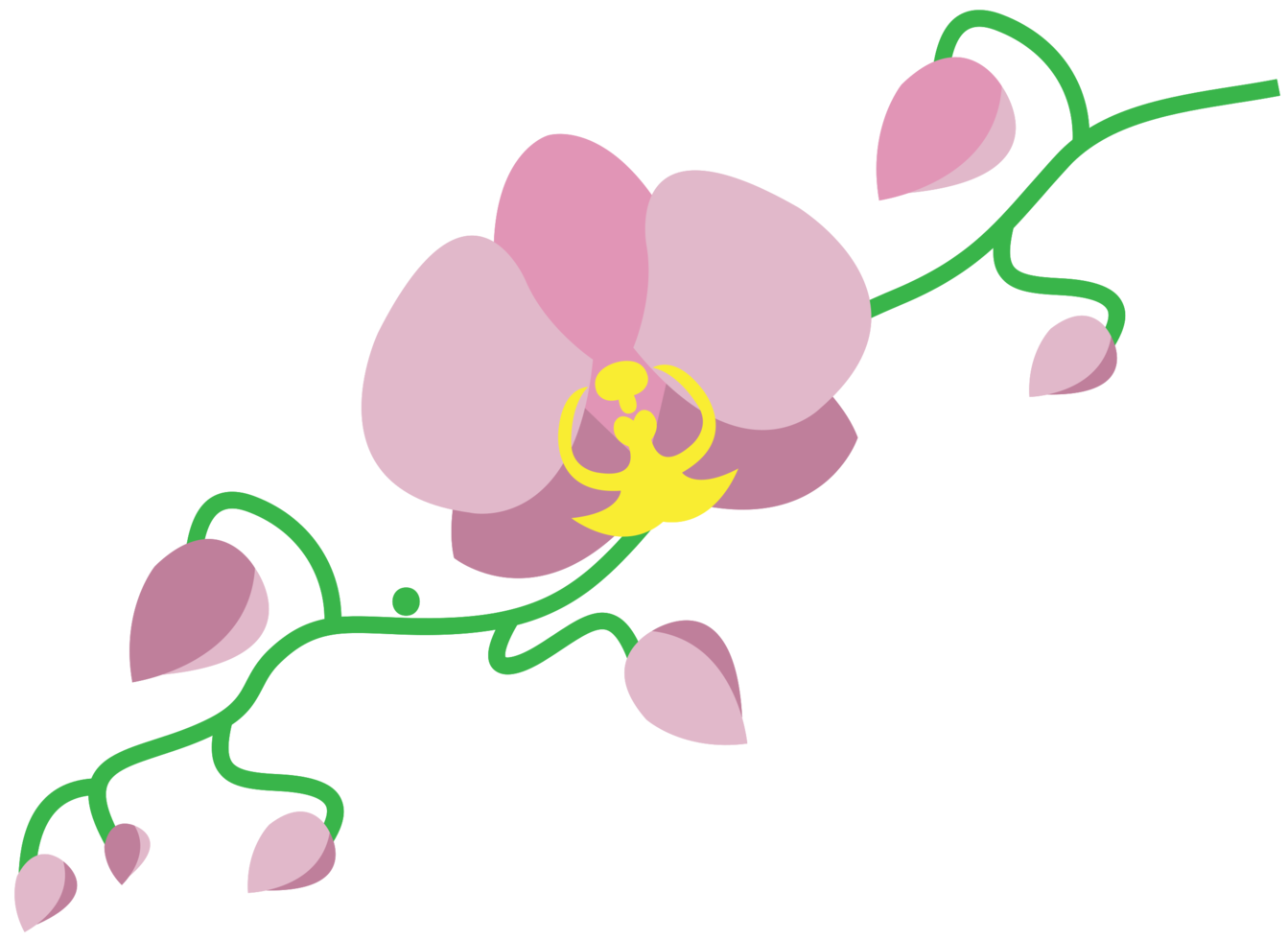 Flower png