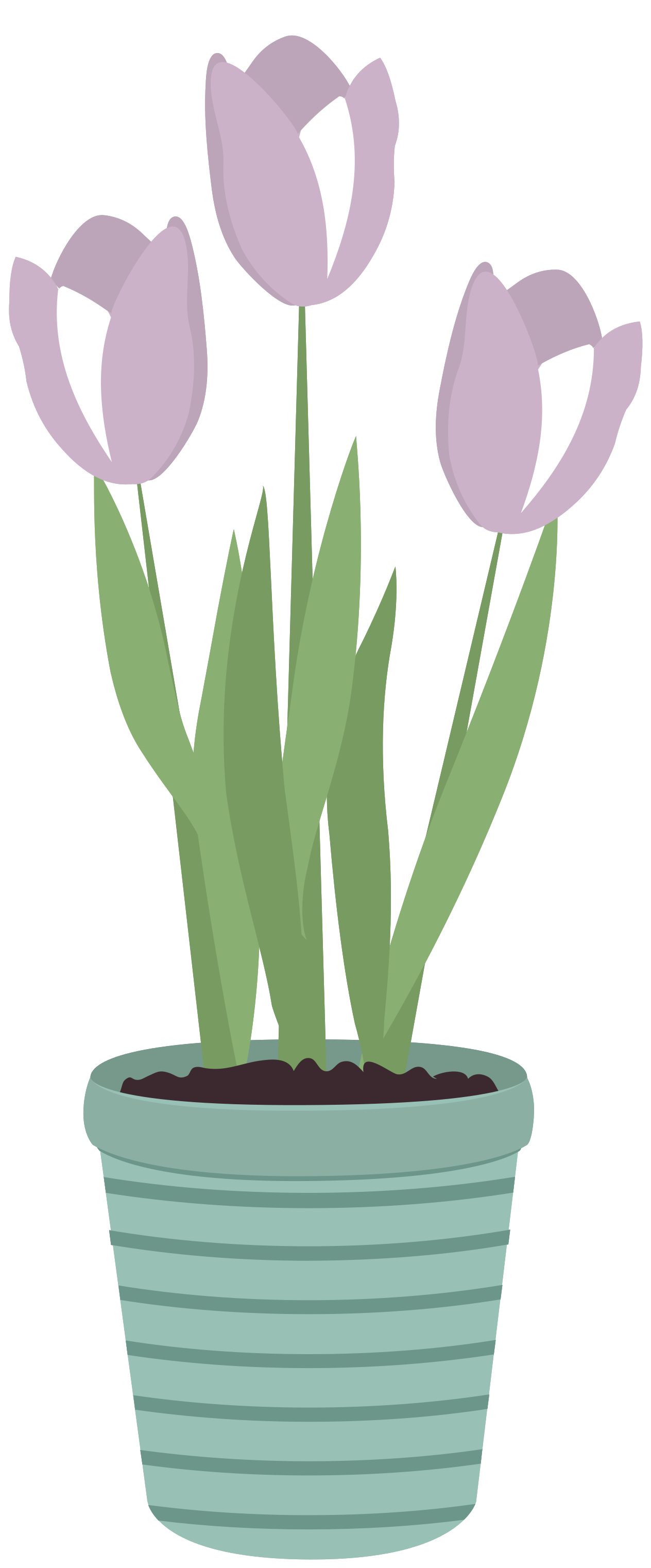 Free Flower pot 1190545 PNG with Transparent Background