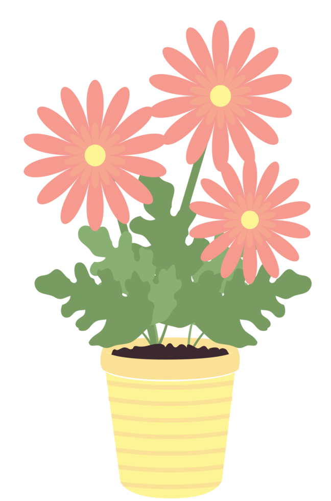 vaso di fiori png