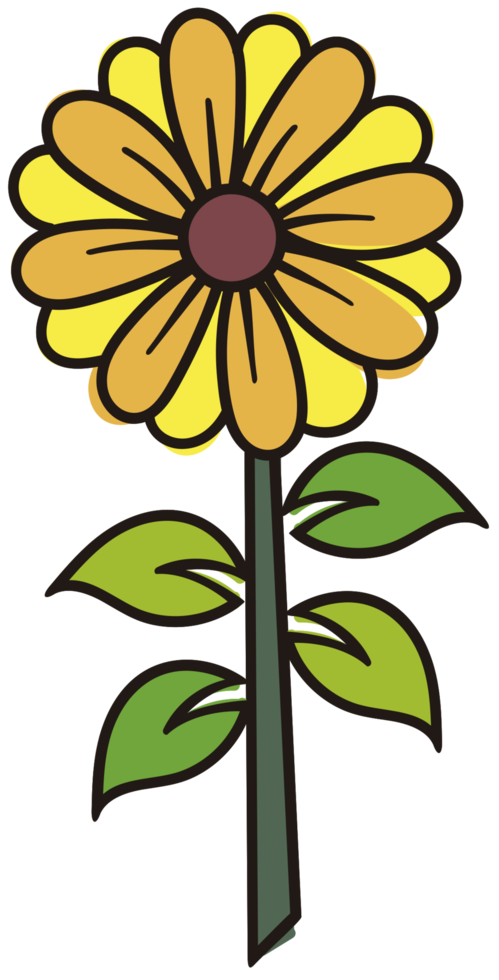 fleur png