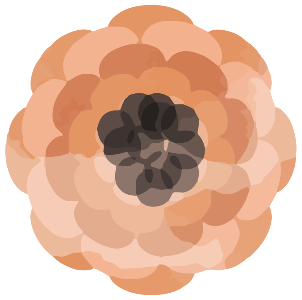 acquerello di fiori png