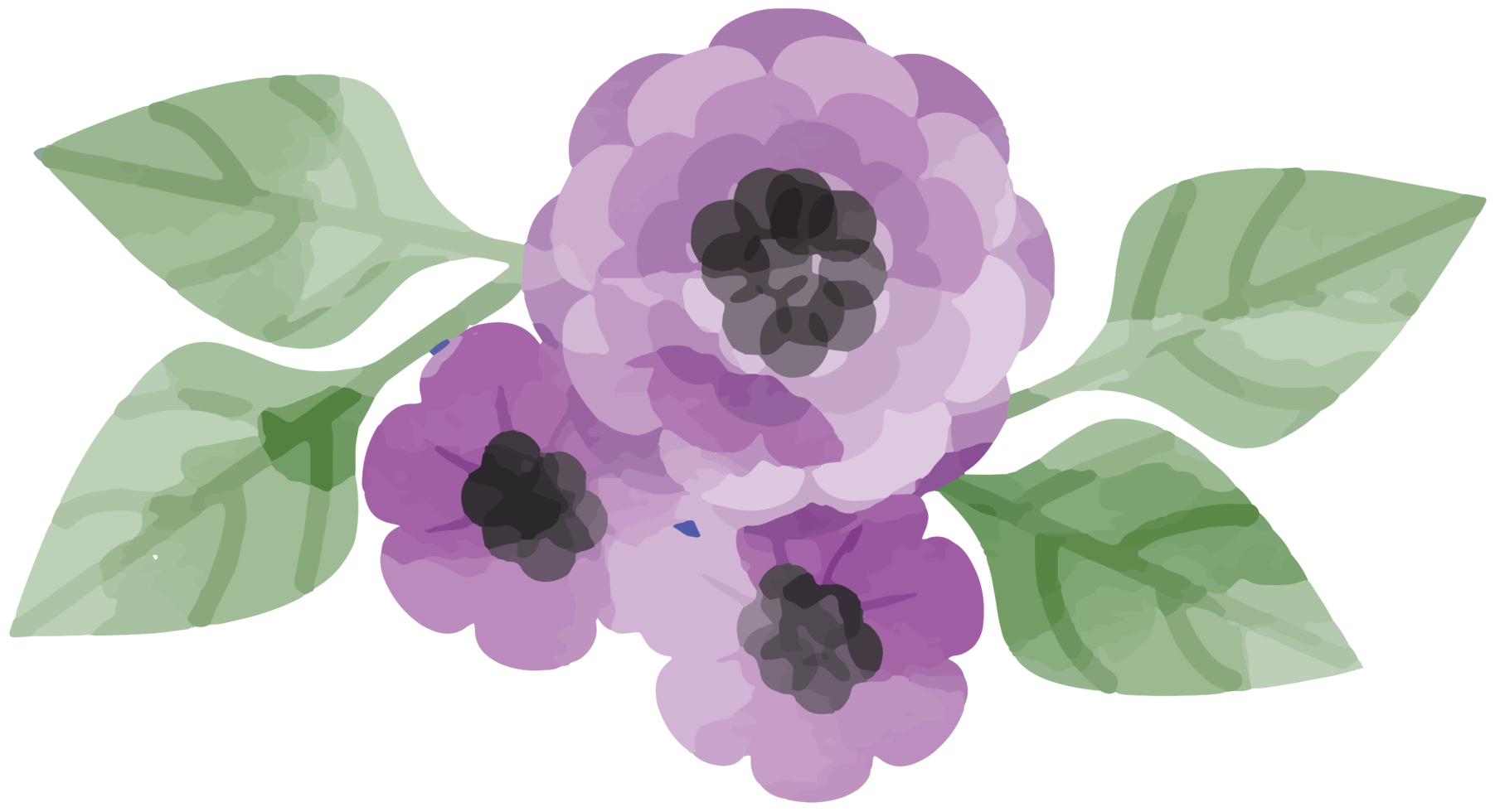 aquarelle fleur png