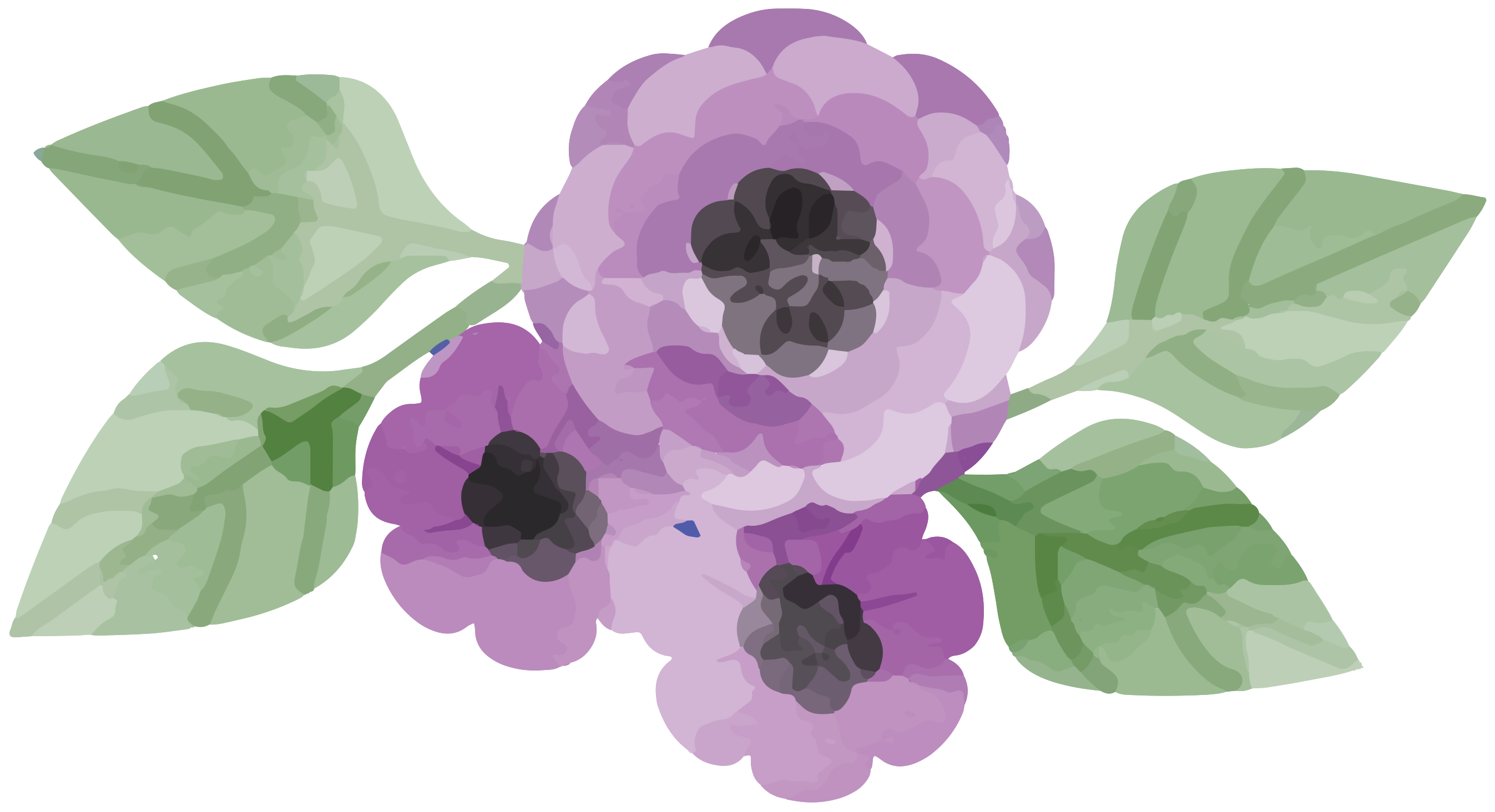 Free acuarela de flores 1190645 PNG with Transparent Background