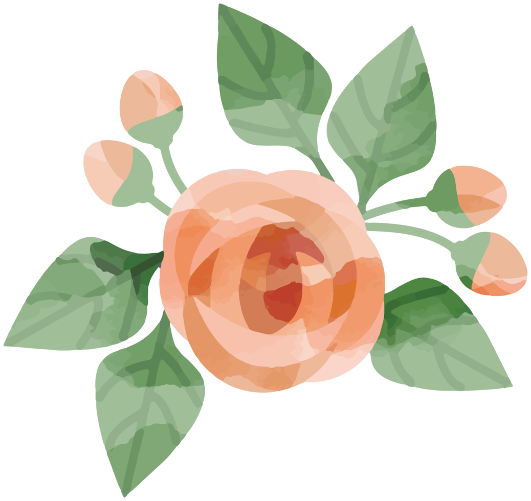 Free acuarela de flores 1190646 PNG with Transparent Background