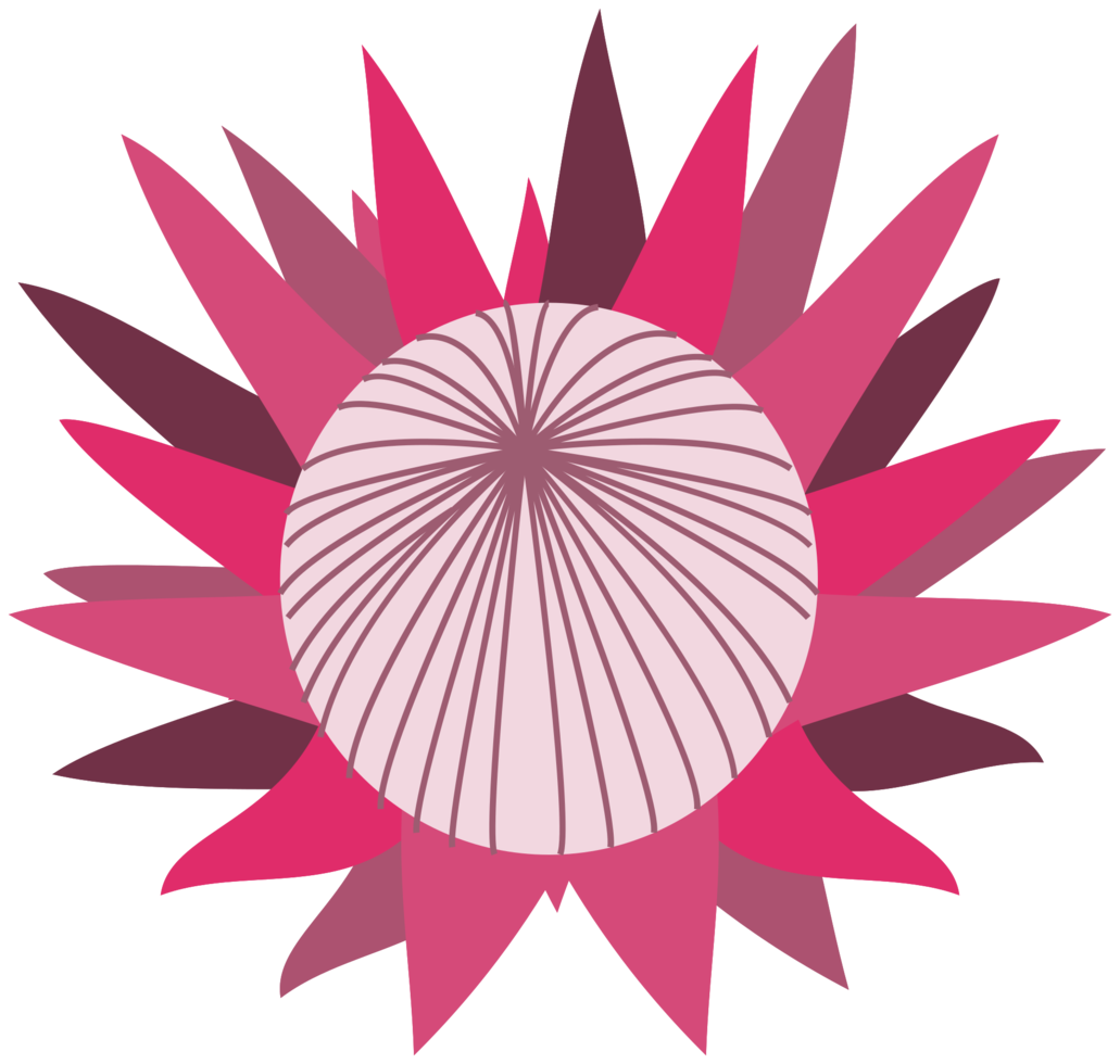 flor de protea png
