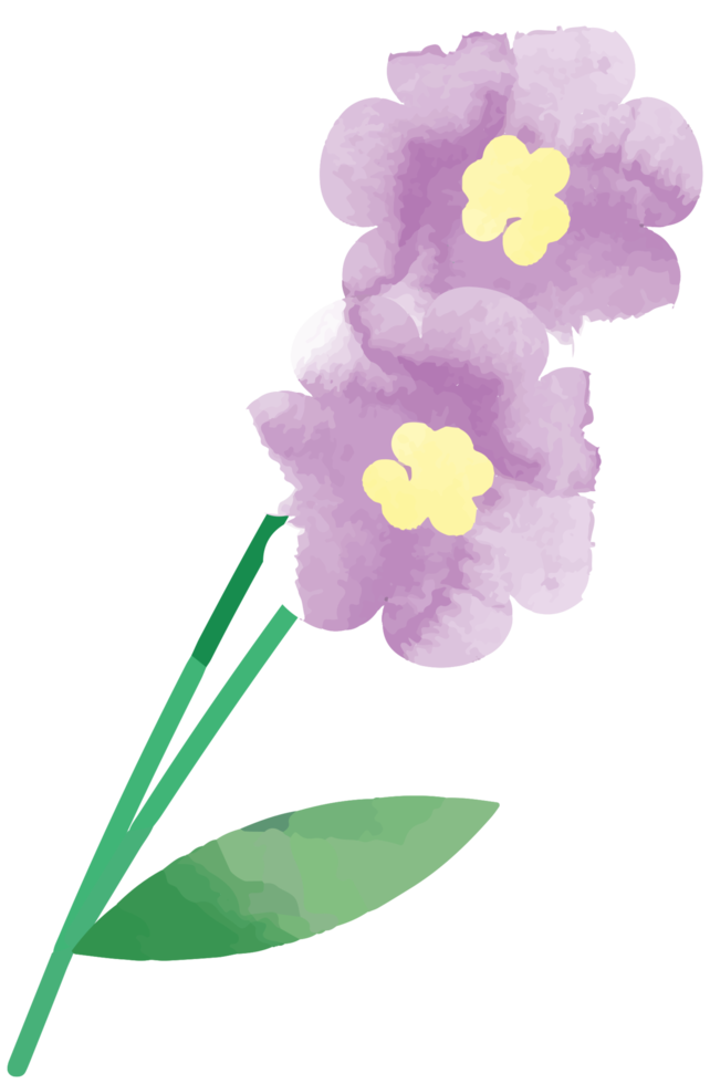 Flower water color png