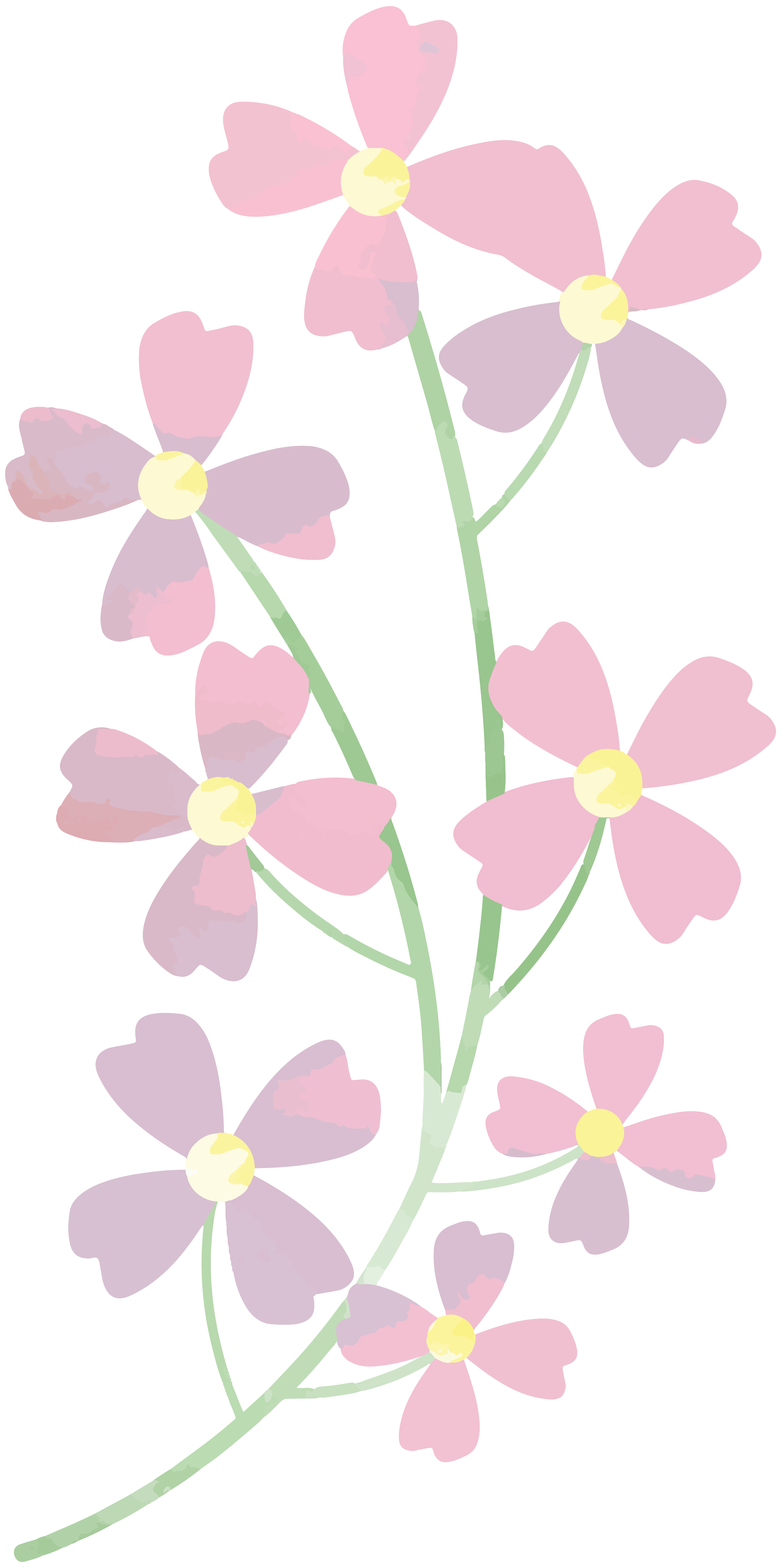 Free aquarela flor 1190707 PNG with Transparent Background Free aquarela flor 1190707 PNG with Transparent Background
