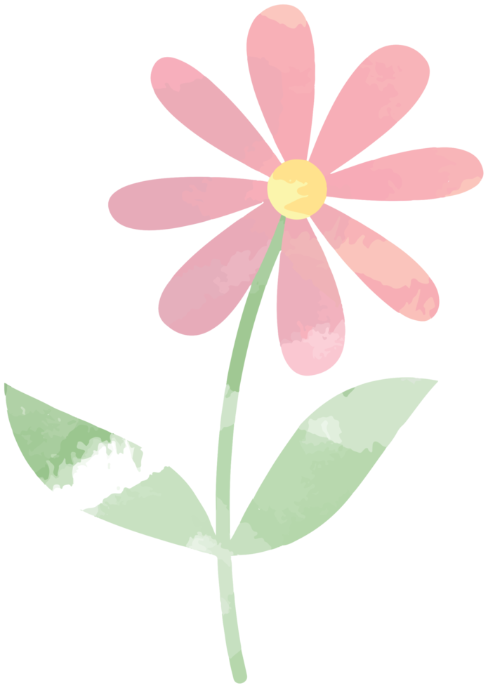 blomma akvarell png