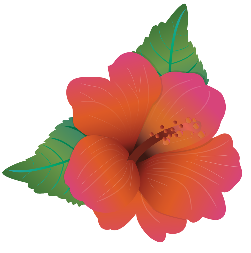 polynesische Blume png