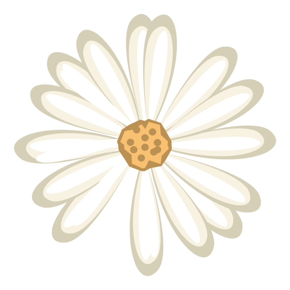 fleur png