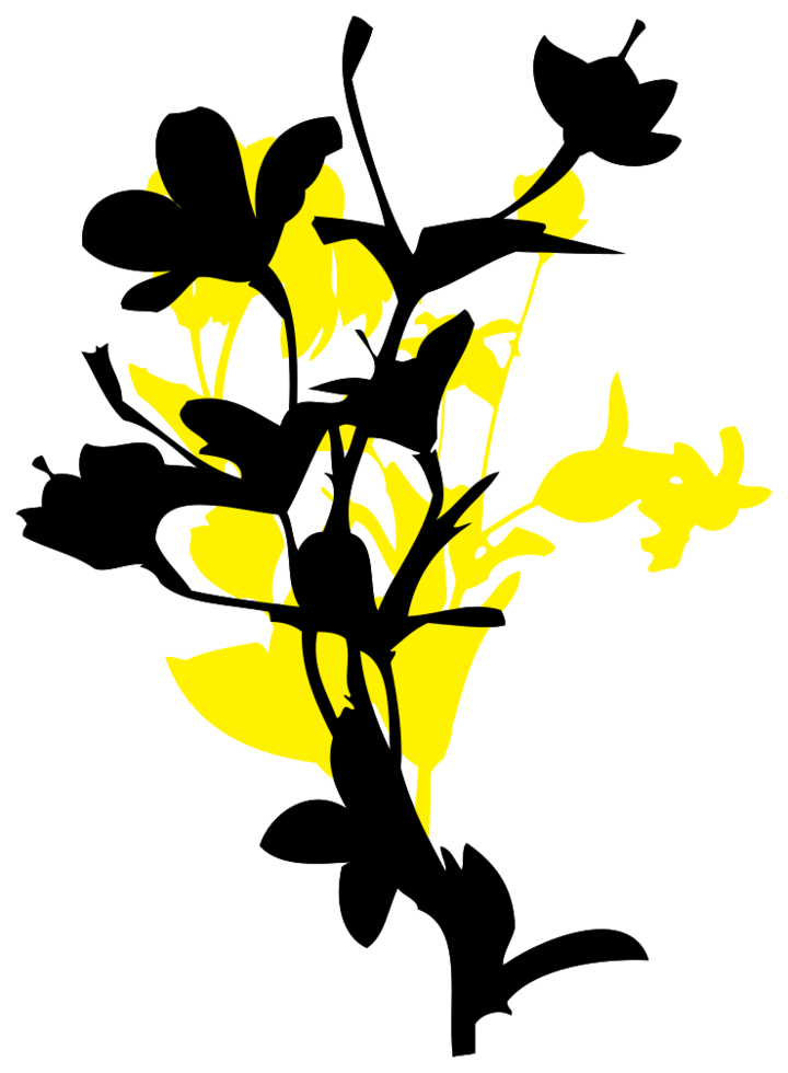 Flower grunge graffiti png