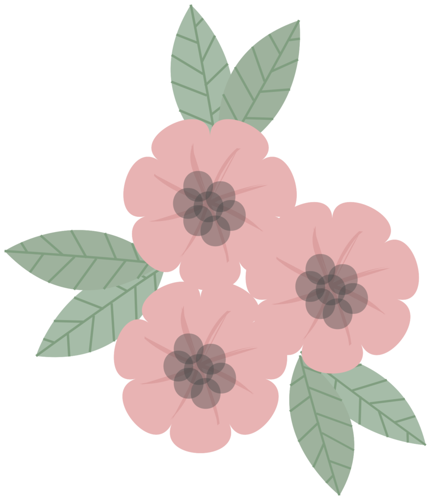 Pink flower png
