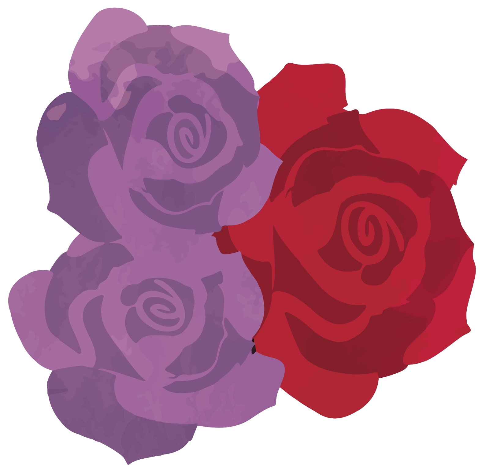 Free Rose 1191331 PNG with Transparent Background
