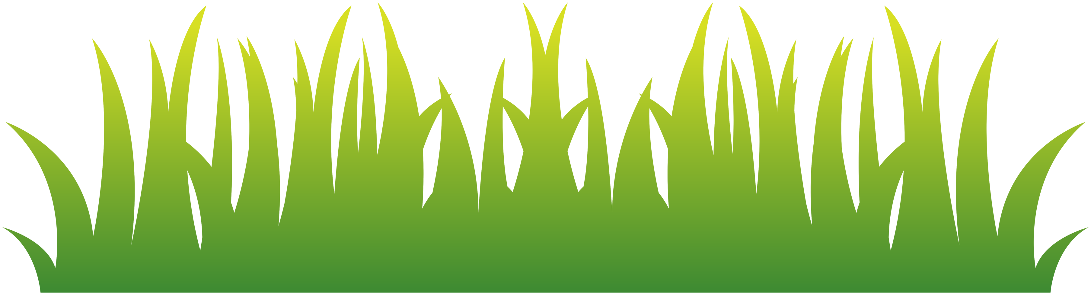 Gras png