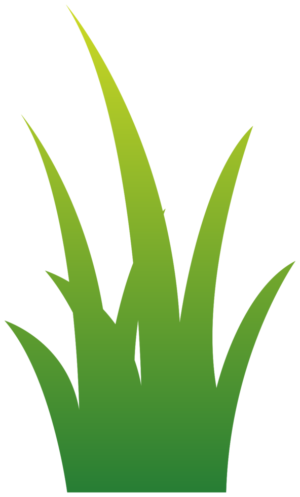 Grass png