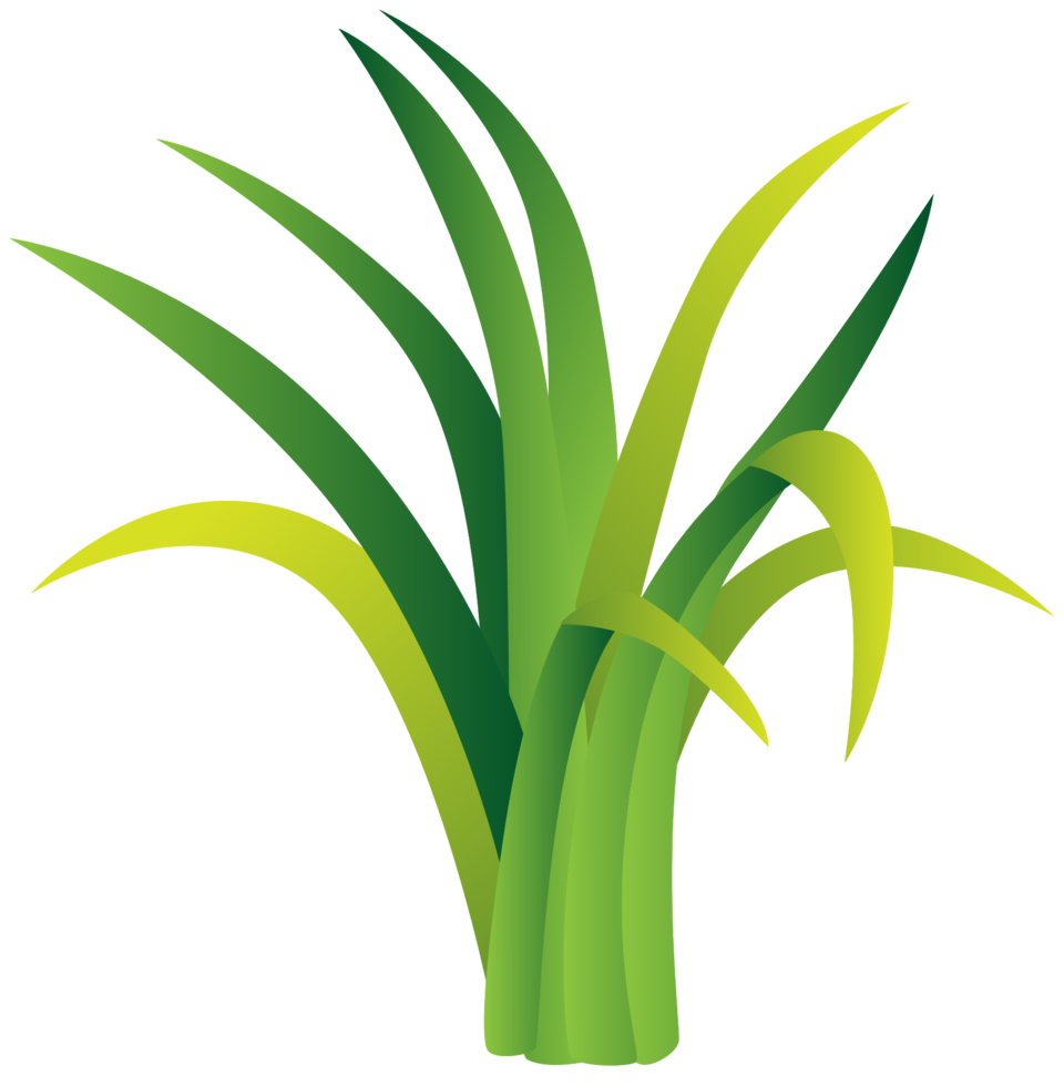 gras png