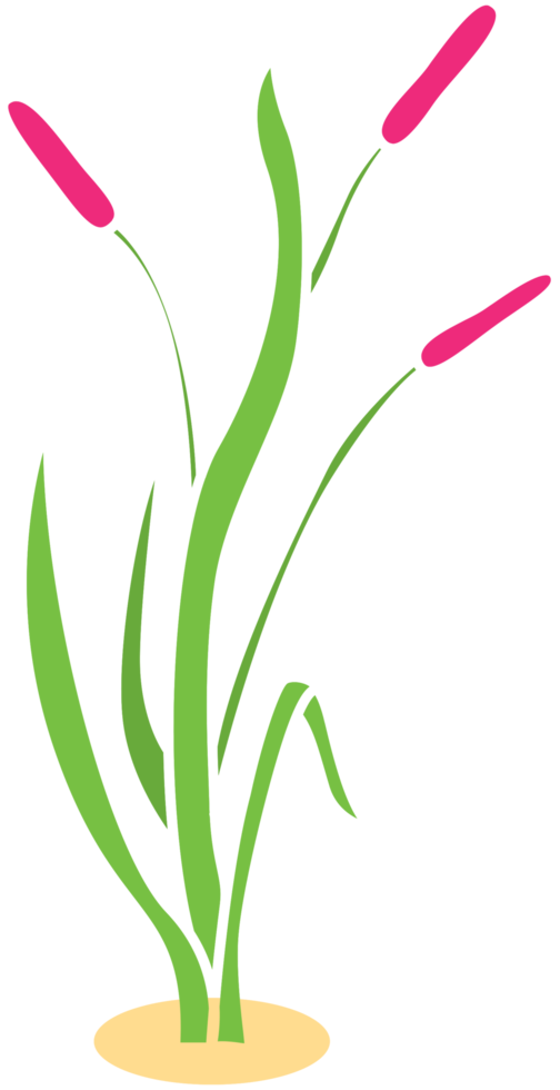 gras png